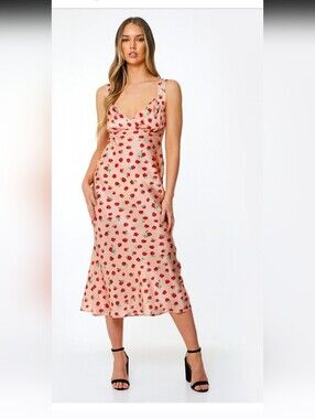 NWT RIXO Shantel Vintage Rose Silk Midi Dress in Pink - Size L 100% Silk